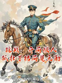 抗战：开局被人抓壮丁结局是元勋